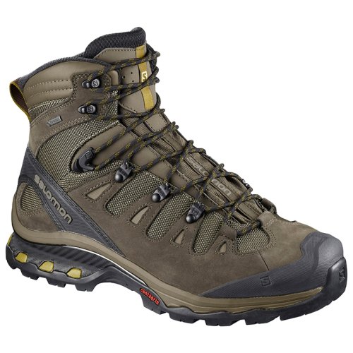 Ботинки Salomon QUEST 4D 3 GTX