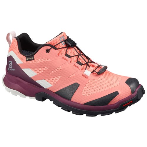 Кроссовки Salomon XA ROGG GTX W BURNT /Bk/Lunar Rock