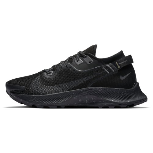 Кросівки NIKE W NIKE PEGASUS TRAIL 2 GTX