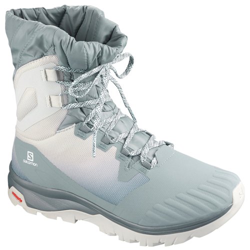 Ботинки Salomon VAYA POWDER TS CSWP Le/Lunar Rock FW20-21