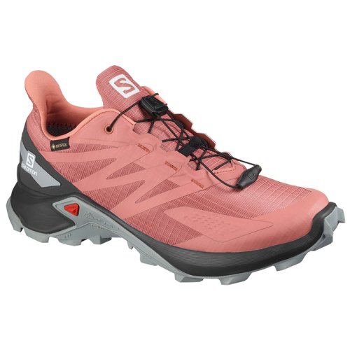 Кроссовки Salomon SUPERCROSS BLAST GTX W BRICK /Ebon FW20-21