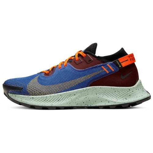 Кросівки для бігу NIKE W NIKE Pegasus TRAIL 2 GTX