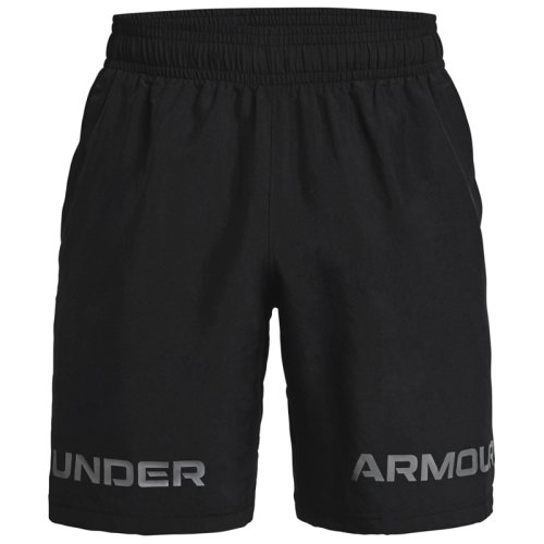 Шорты Under Armour Woven Graphic WM Short