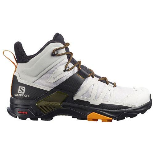 Черевики Salomon X ULTRA 4 MID GTX LunRoc/Mgnt/Butt