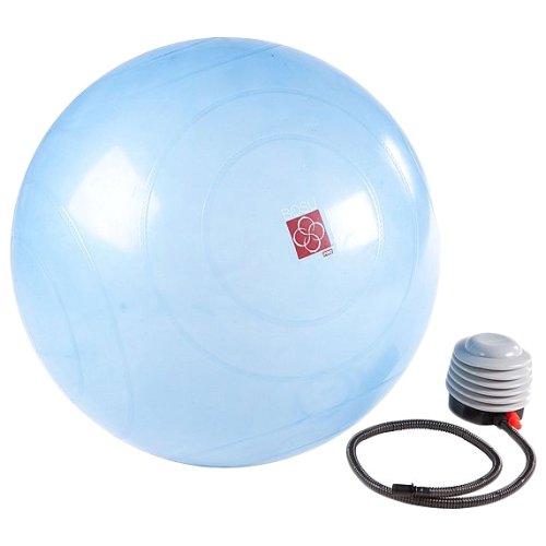 Мяч гимнастический BOSU Ballast ball 45 cm (насос в комплекте)