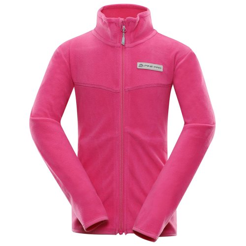 Флис Alpine Pro CASSIUSO 4