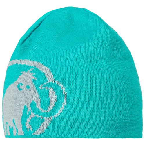 Шапка Mammut Tweak Beanie ceramic-highway