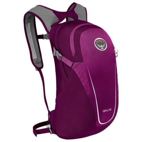 Рюкзак Osprey Daylite 13 (2020) Eggplant Purple