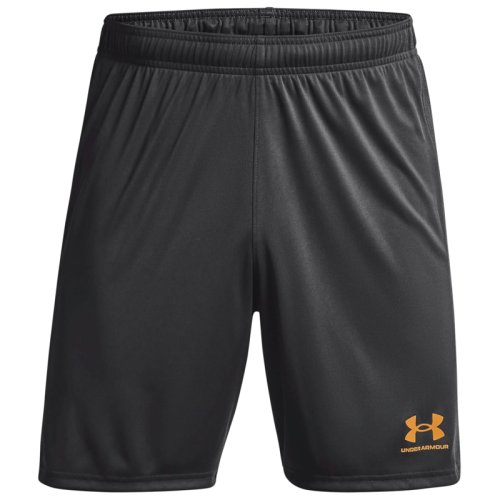 Шорты Under Armour Challenger Knit Short