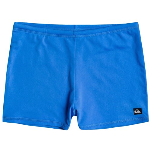 Плавки Quiksilver EVYDAYSWIM M