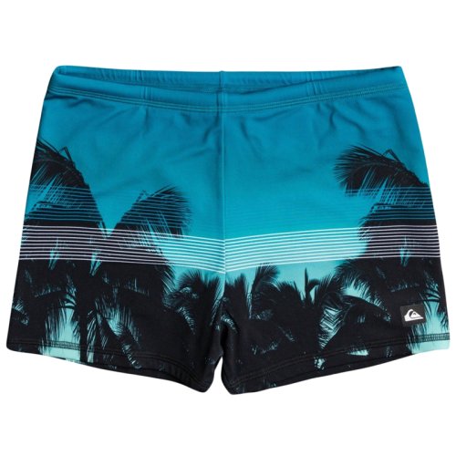Плавки Quiksilver EVYDAYPRTSWIM M