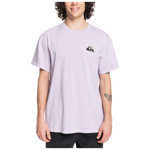 Футболка Quiksilver OGCLASSICSS M TEES
