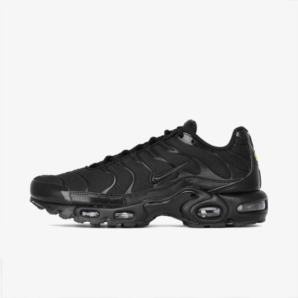 Чоловічі кросівки Nike AIR MAX PLUS