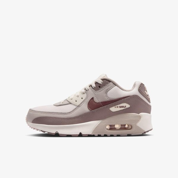 Дитячі кросівки NIKE AIR MAX 90 MESH TAUPE HAZE / TATTOO (GS)