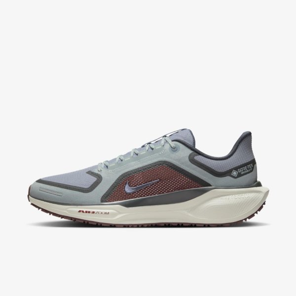 Чоловічі кросівки NIKE AIR ZM PEGASUS 41 GTX