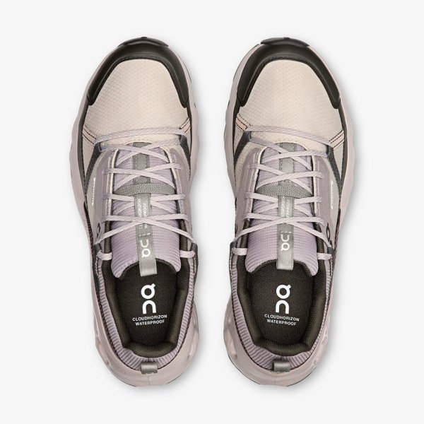 Жіночі кросівки ON RUNNING WMNS CLOUDHORIZON WATERPROOF DESERT / THORN