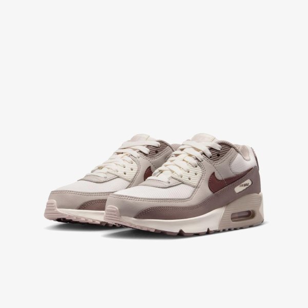 Дитячі кросівки NIKE AIR MAX 90 MESH TAUPE HAZE / TATTOO (GS)