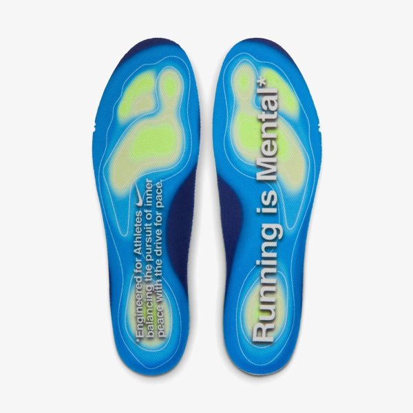 Чоловічі кросівки NIKE VOMERO PLUS PLATINUM TINT