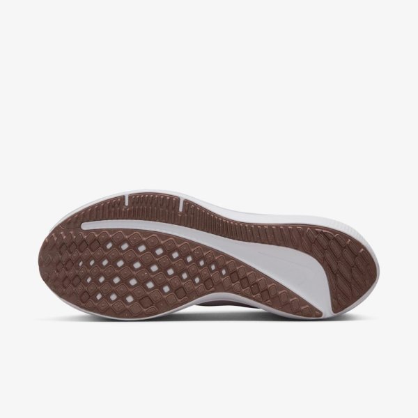 Жіночі кросівки NIKE W AIR WINFLO 10