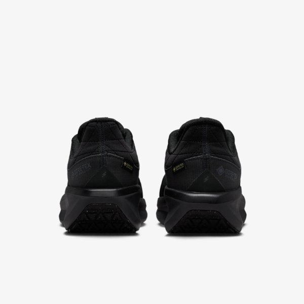 Жіночі кросівки NIKE W AIR WINFLO 11 GTX