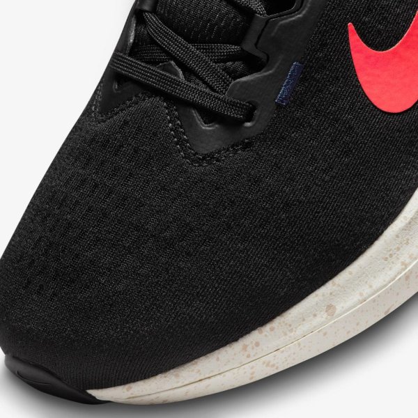 Чоловічі кросівки NIKE AIR WINFLO 10