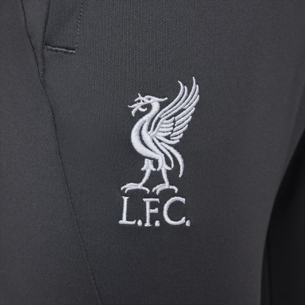 Чоловічі штани NIKE LFC Dri