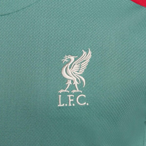 Чоловіча футболка NIKE LFC M NK DF STRK SS TOP K