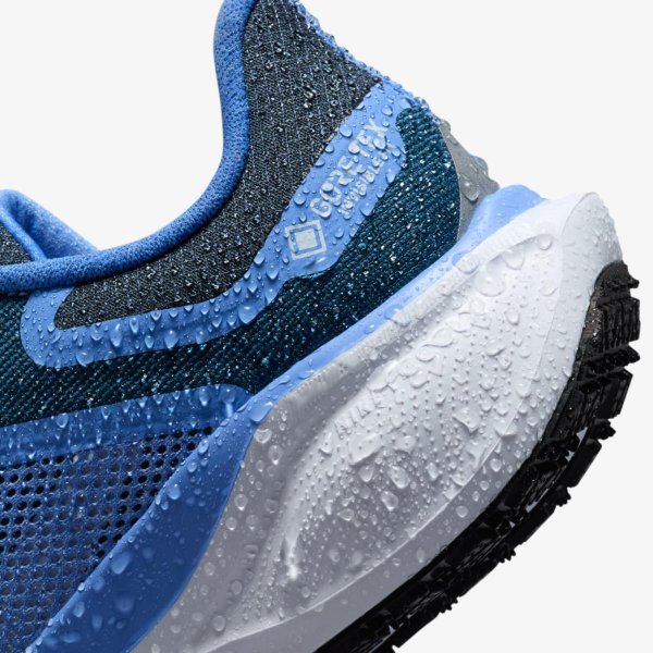 Жіночі кросівки NIKE W AIR ZM PEGASUS 41 GTX