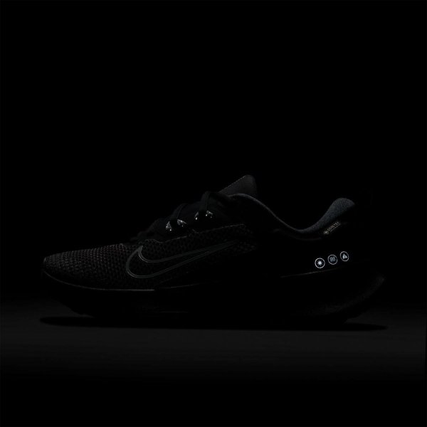 Жіночі кросівки NIKE WMNS JUNIPER TRAIL 2 GTX V2