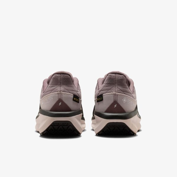 Жіночі кросівки NIKE W AIR WINFLO 11 GTX