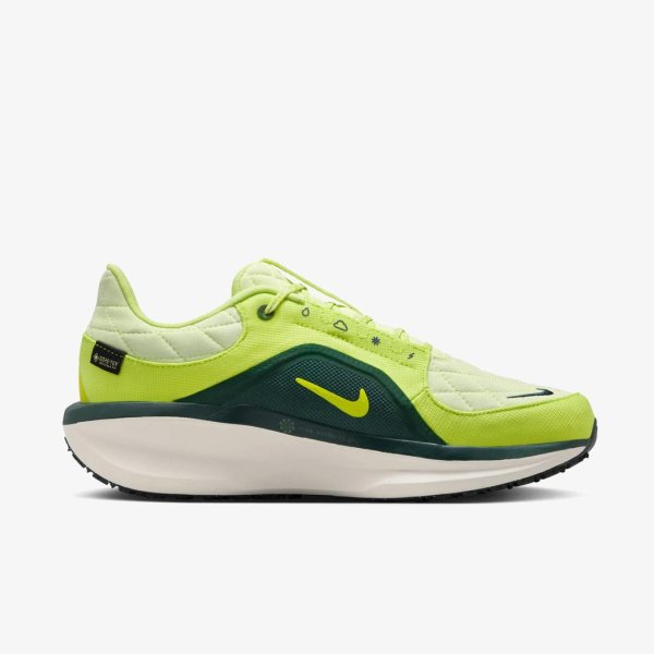 Жіночі кросівки NIKE W AIR WINFLO 11 GTX