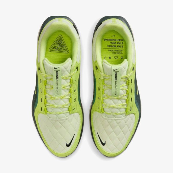 Жіночі кросівки NIKE W AIR WINFLO 11 GTX