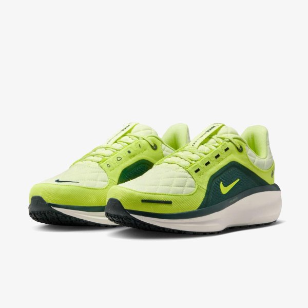 Жіночі кросівки NIKE W AIR WINFLO 11 GTX