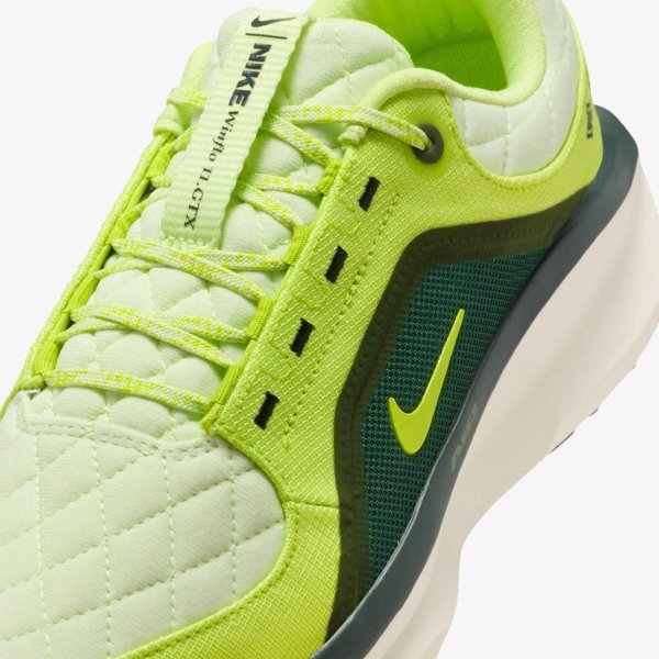 Жіночі кросівки NIKE W AIR WINFLO 11 GTX