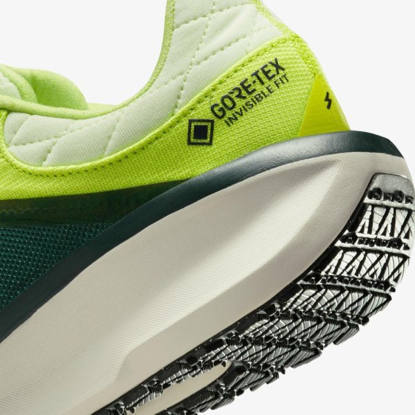 Жіночі кросівки NIKE W AIR WINFLO 11 GTX