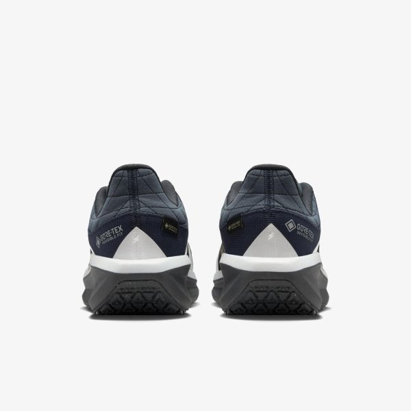 Жіночі кросівки NIKE W AIR WINFLO 11 GTX