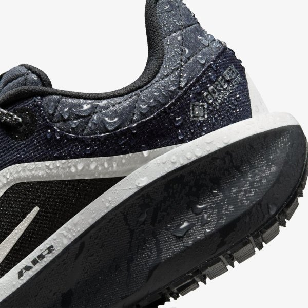 Жіночі кросівки NIKE W AIR WINFLO 11 GTX