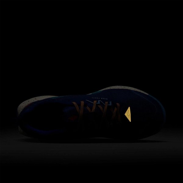 Чоловічі кросівки NIKE JUNIPER TRAIL 3