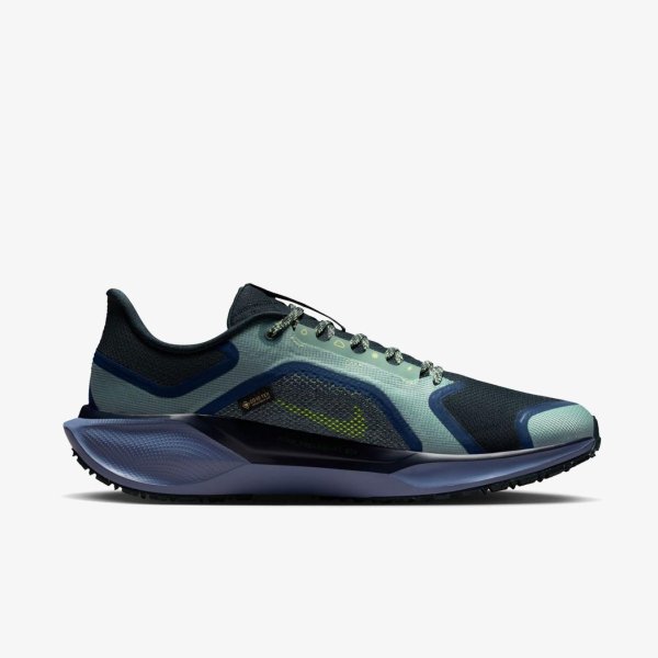 Чоловічі кросівки NIKE AIR ZM PEGASUS 41 GTX