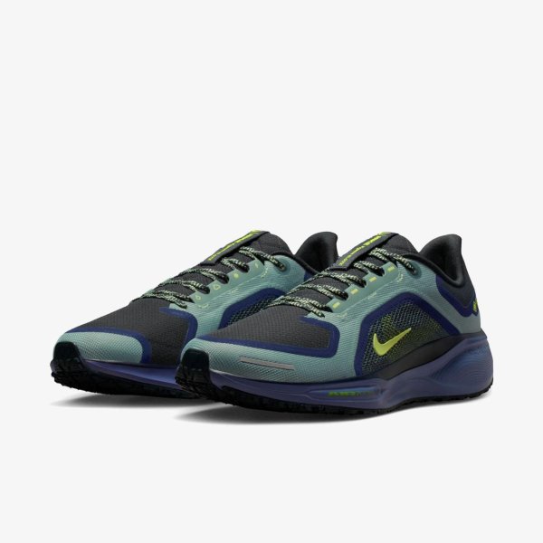 Чоловічі кросівки NIKE AIR ZM PEGASUS 41 GTX
