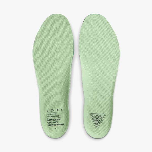 Чоловічі кросівки NIKE AIR ZM PEGASUS 41 GTX