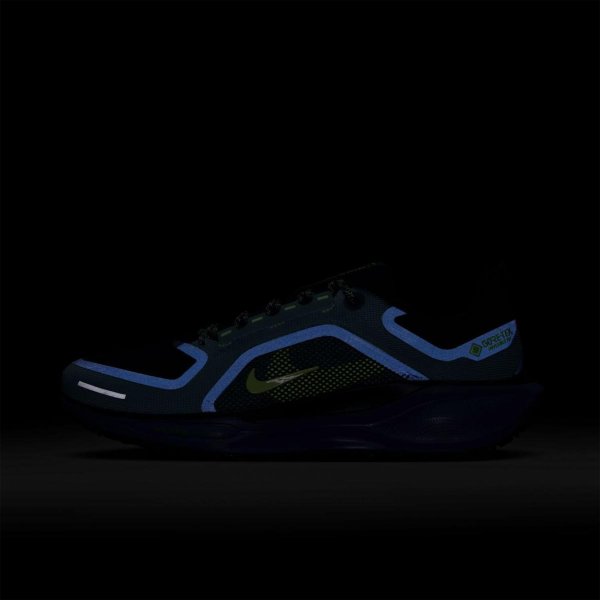 Чоловічі кросівки NIKE AIR ZM PEGASUS 41 GTX