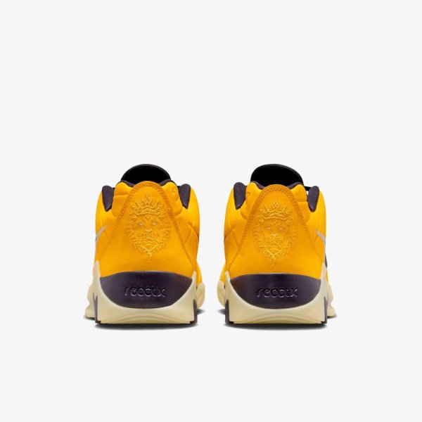 Чоловічі кросівки NIKE LEBRON WITNESS IX