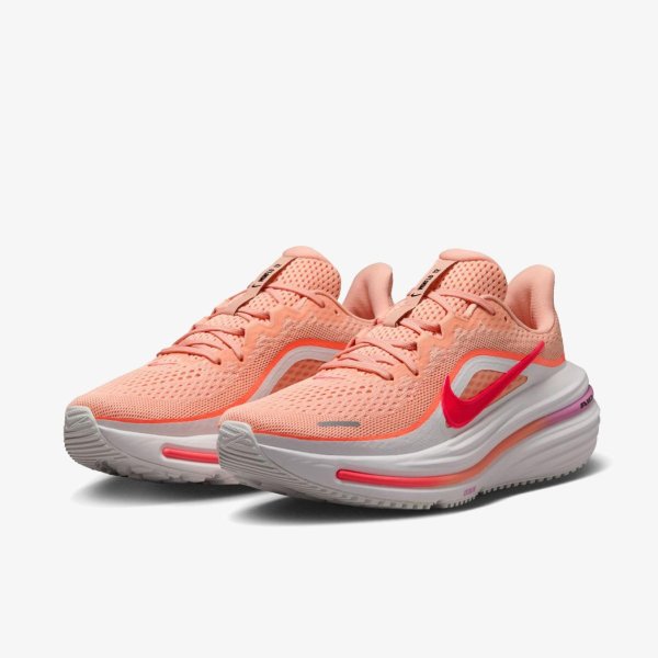 Жіночі кросівки NIKE W AIR WINFLO 12