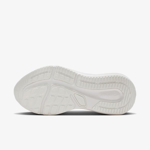 Чоловічі кросівки NIKE AIR WINFLO 12