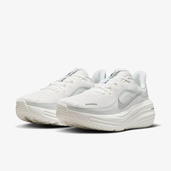 Чоловічі кросівки NIKE AIR WINFLO 12