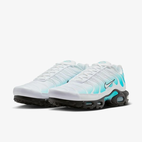 Чоловічі кросівки NIKE AIR MAX PLUS