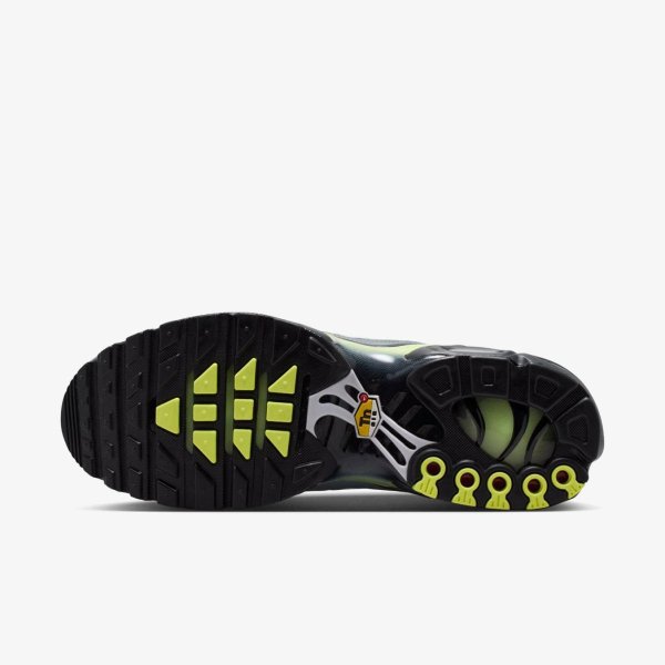 Чоловічі кросівки NIKE AIR MAX PLUS