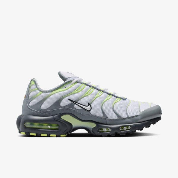 Чоловічі кросівки NIKE AIR MAX PLUS
