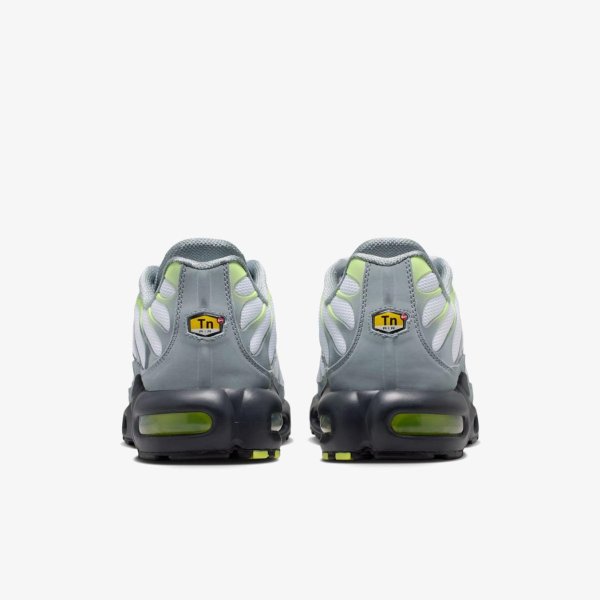 Чоловічі кросівки NIKE AIR MAX PLUS